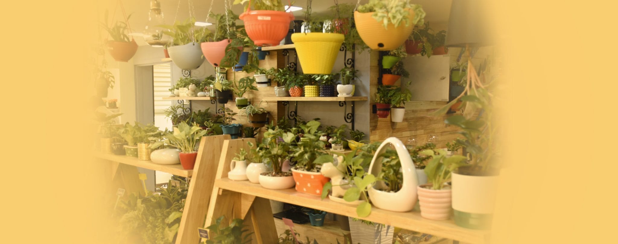 Trivandrum Garden Tech