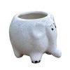 small elephant ceramic pot