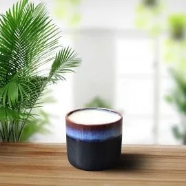Ceramic Pot