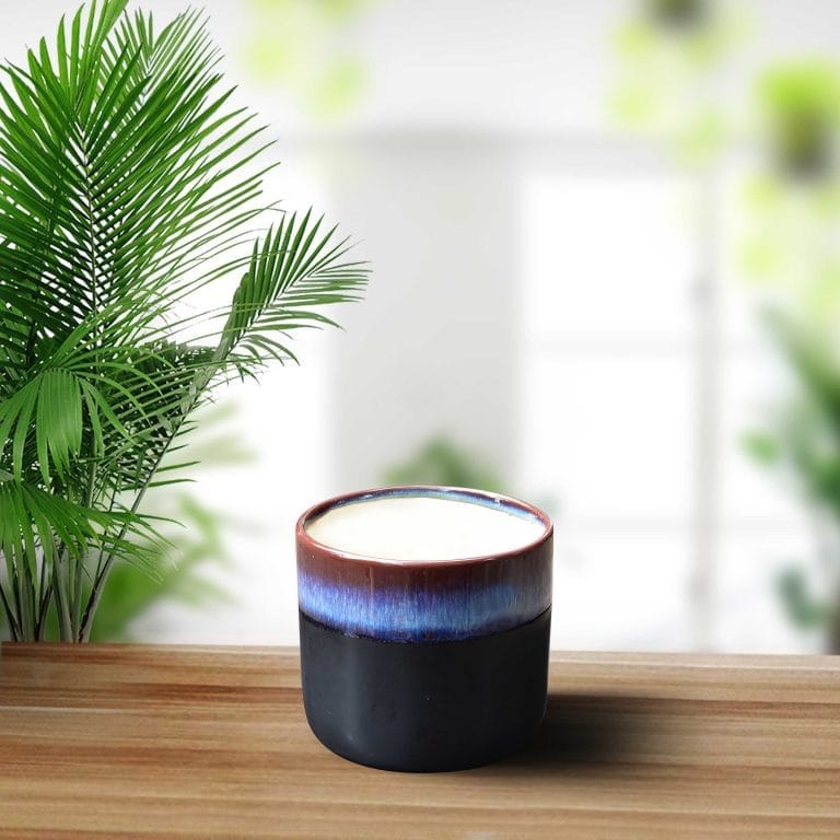 Multi Colour Ceramic Pot Buy Online Trivandrum Gardentech