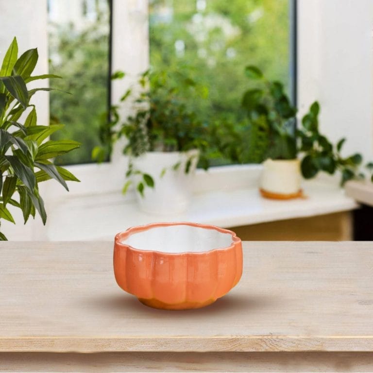 Red Pumpkin Ceramic Pot Buy Online Trivandrum Gardentech