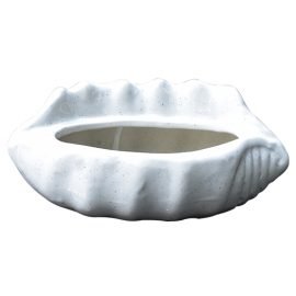 Ceramic Conch Pot