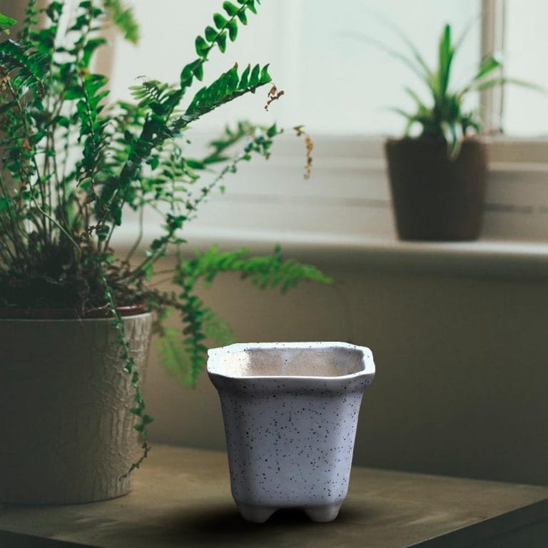 Designer White Ceramic Decorative Pot Buy Online Trivandrum Gardentech