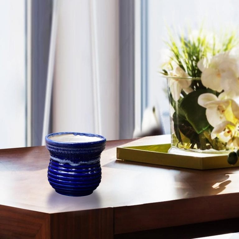 White Conch Shape Ceramic Pot Buy Online Trivandrum Gardentech