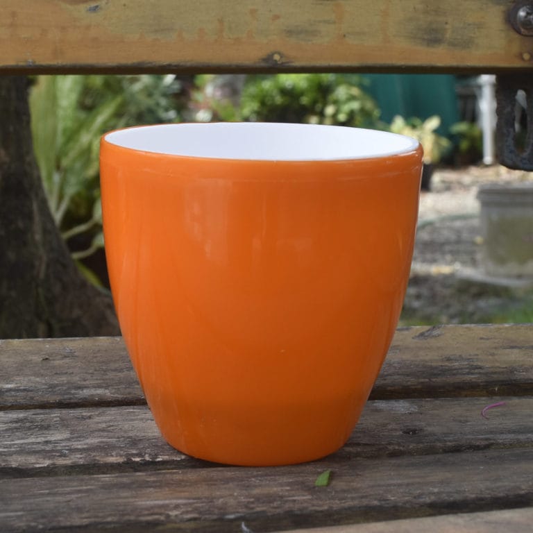 Round Plastic Planter Pot Buy Online Trivandrum Gardentech