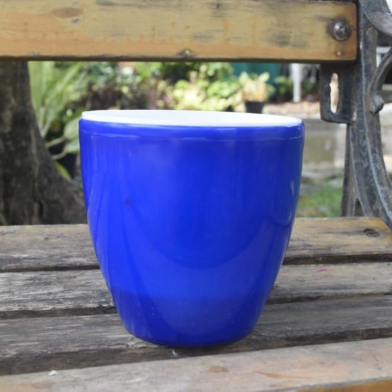 White Conch Shape Ceramic Pot Buy Online Trivandrum Gardentech